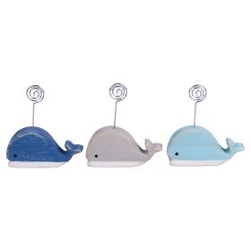 Balena segnaposto, Ocean